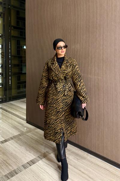 Aden Kaban Camel  Camel