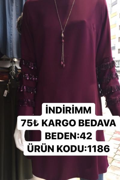 KAMPANYA TUNİĞİM Eflatun